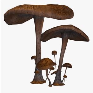 Meet your Posher, Evan